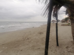 ARENAMAR